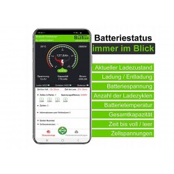Bulltron Akku mit Smart BMS, Bluetooth und Heizung, LiFePo4 Batterie 12,8V  105Ah